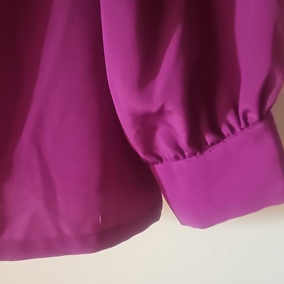Pendleton Classics Women's Size 12 purple chiffon Blouse hidden button closure - Picture 4 of 5